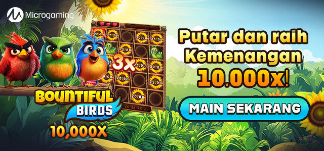 MG - BOUNTIFUL BIRDS GAME PROMO BANNER