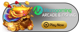 MicroGaming