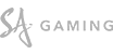 sa-gaming.png?v=20240219