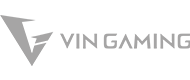 vin-gaming