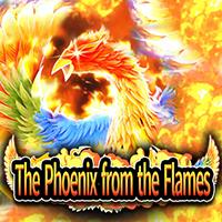 The Phoenix from the Flames