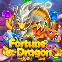 Fortune Dragon